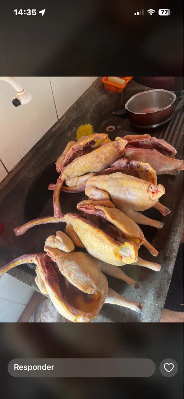 Frango e galinha caipira 