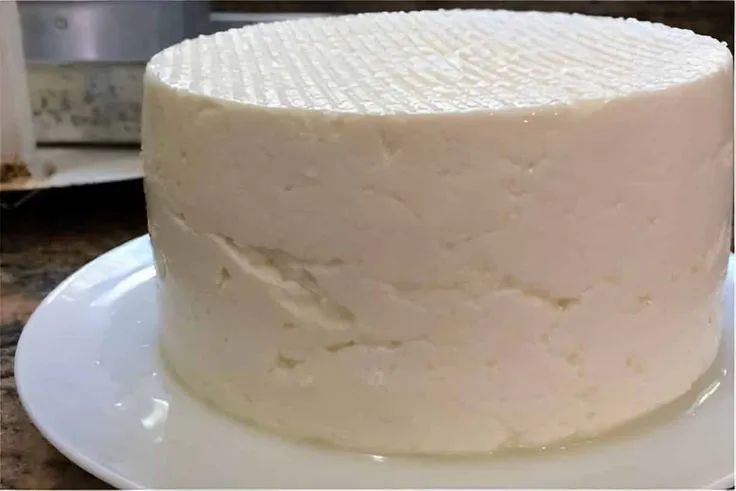 Queijo coalho artesanal  - Foto 3