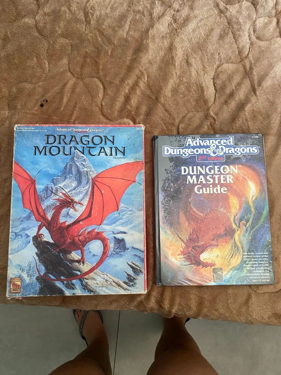 Advanced dungeons & dragons