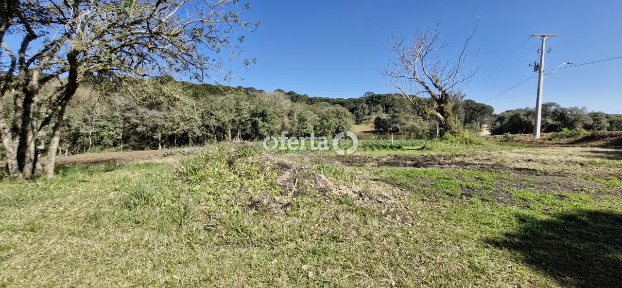 Terreno em Araucária - Foto 5