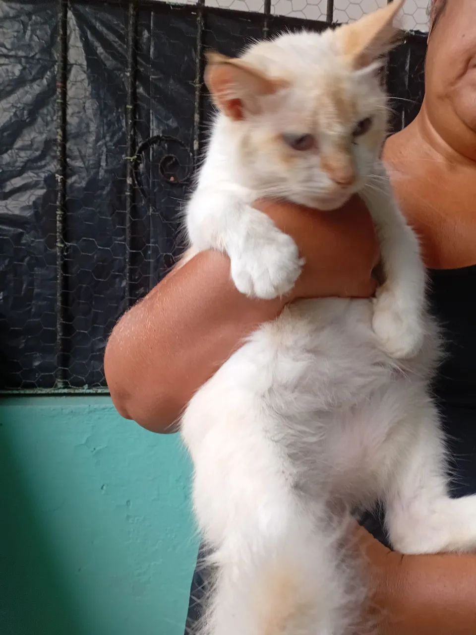 Doação responsável  - Foto 4