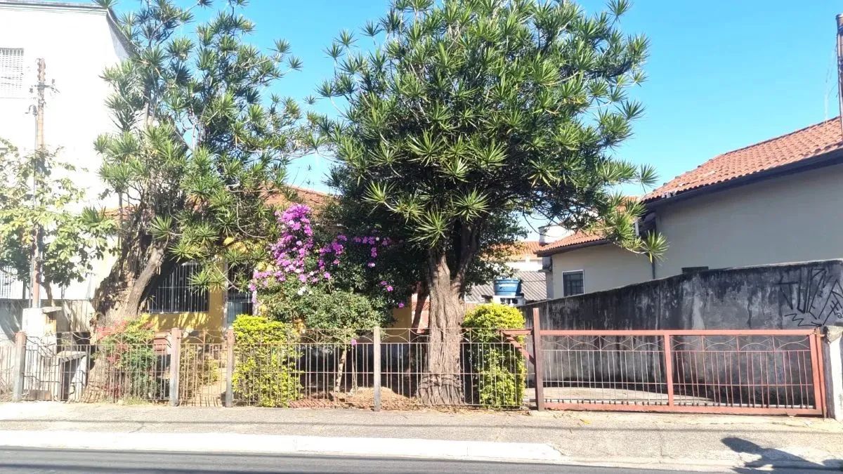 Terreno residencial para venda em Chora Menino , 366m² - Foto 3