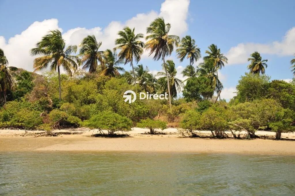 Sítio em Ilha de Itamaracá/PE - Foto 2