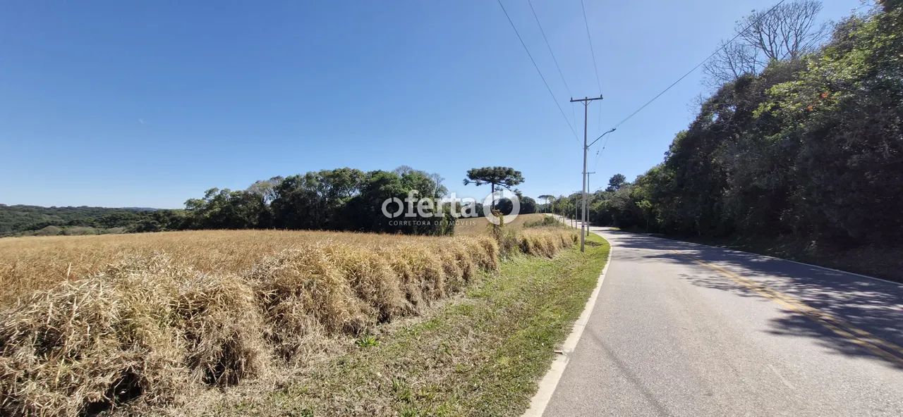 Terreno em Araucária - Foto 2