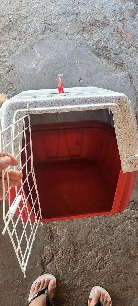 CAIXA DE TRANSPORTE DE CACHORRO 