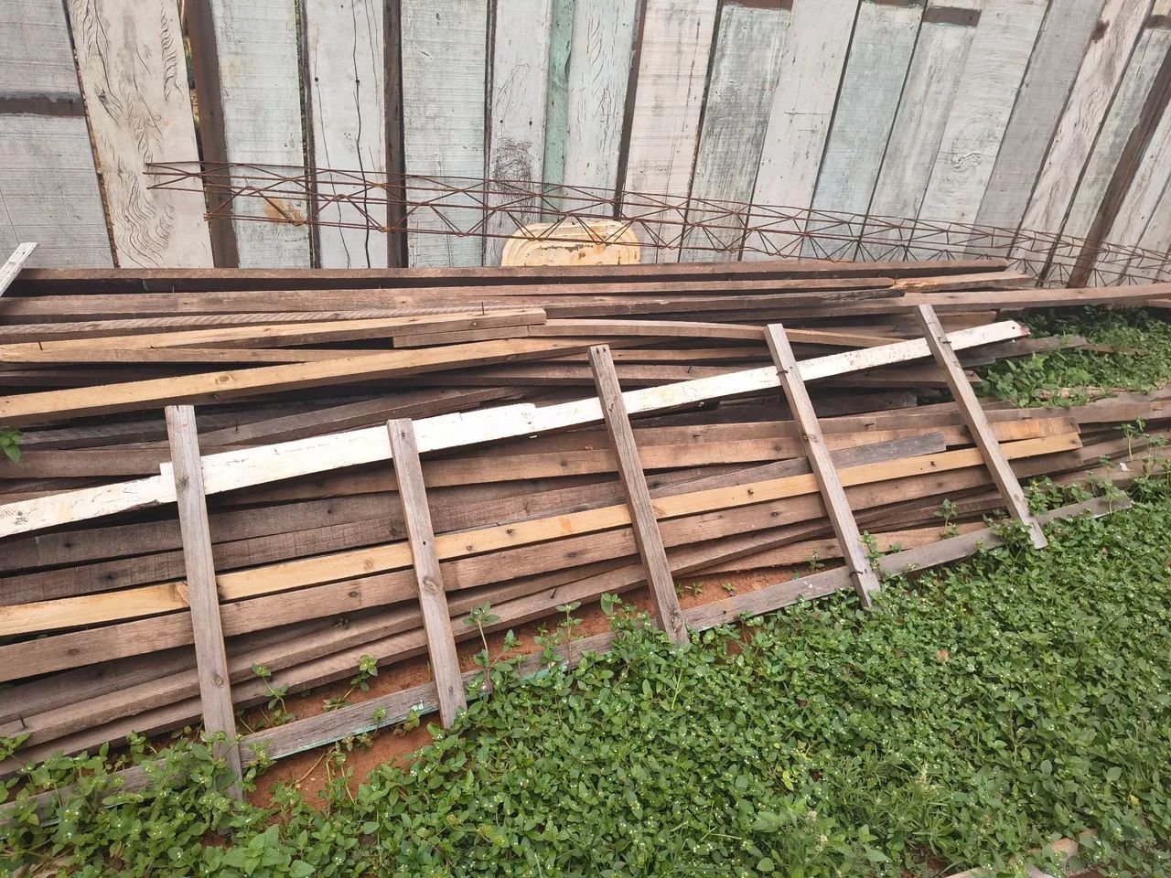 Madeiras - Foto 2
