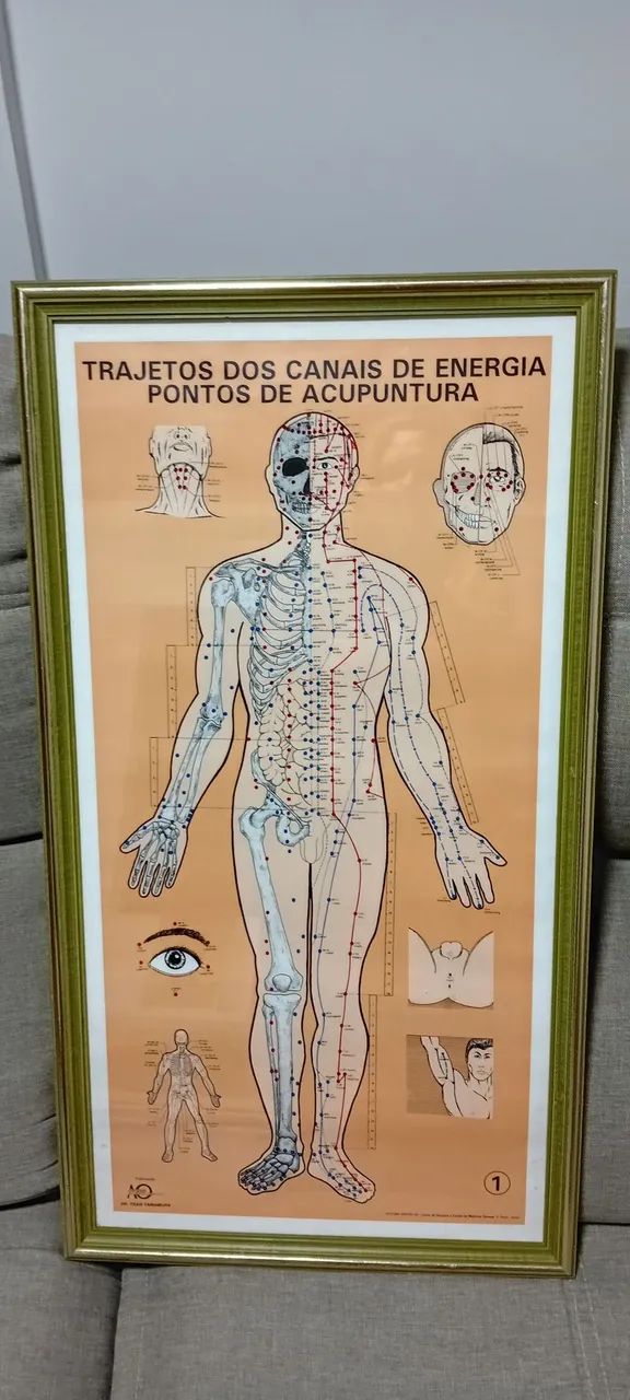 Quadros de vidros e boneco acupuntura  - Foto 3