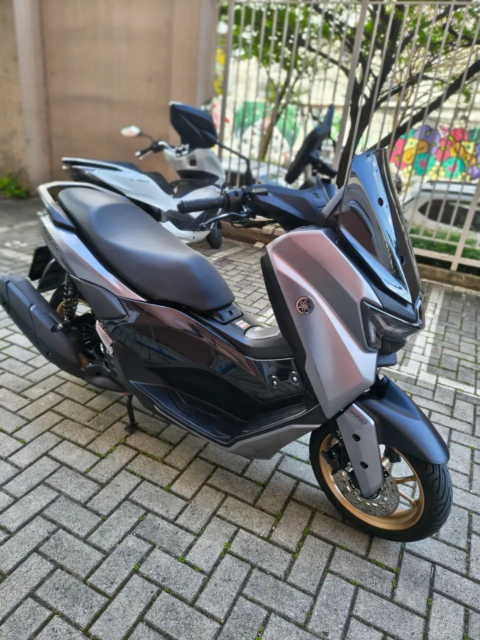 N MAX 2025 PRATA
