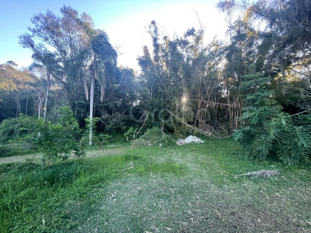 Terreno com 1.505,10m² em Ratones - Foto 2