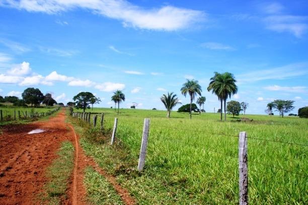 Fazenda 1750 ha N.S. Livramento MT - Foto 10