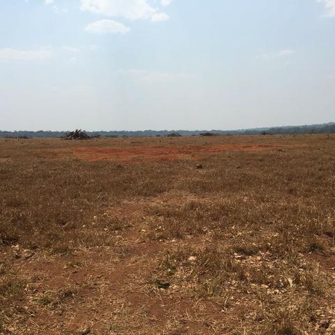 Fazenda 15000 ha 150 Km Sorriso MT - Foto 6