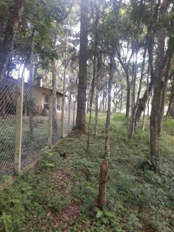 São José dos Pinhais - Chácara c/ 2328m² em condomínio fechado próx. BR 277 - Foto 12
