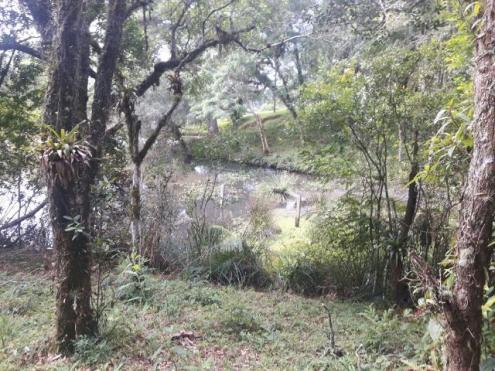 São José dos Pinhais - Chácara c/ 2328m² em condomínio fechado próx. BR 277 - Foto 14