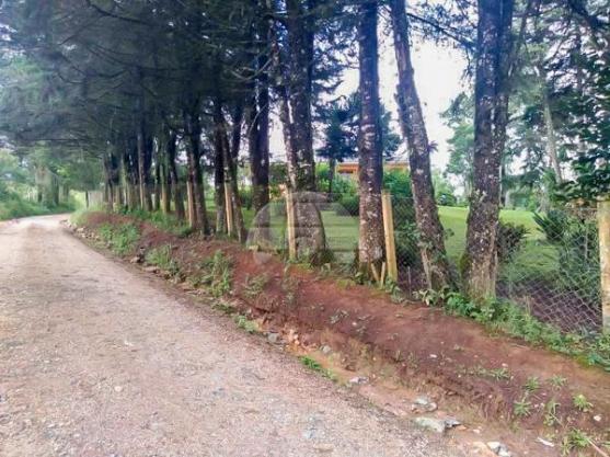 Chácara à venda em Área rural, Mandirituba cod:150401 - Foto 13