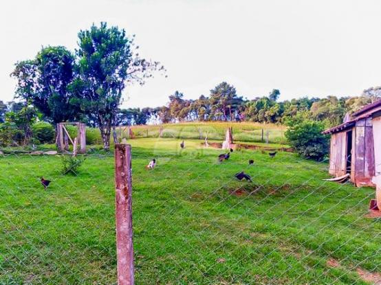 Chácara à venda em Área rural, Mandirituba cod:150401 - Foto 18