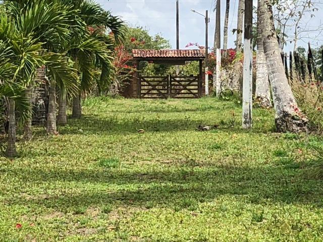 Propriedade de 10.5 hectares, escriturada, com casa sede em Paudalho-PE - Foto 19