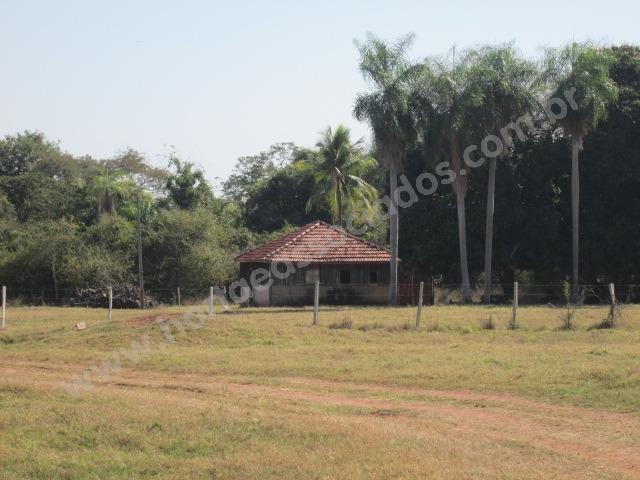 Fazenda com 881 hectares em Corumbá-MS para agricultura e pecuária - Foto 8