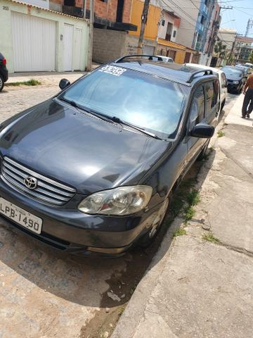 Corolla Fielder