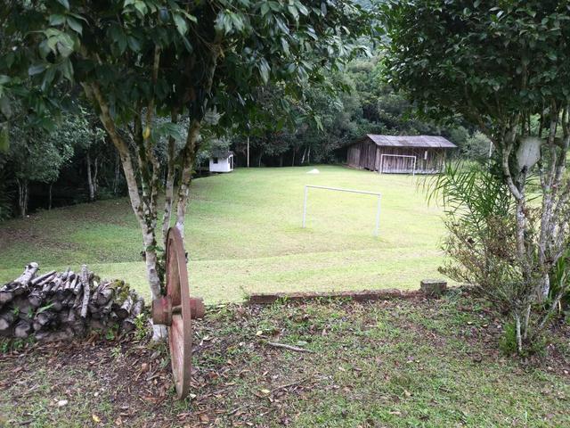 Belo sitio em farroupilha com 10 hectares - Foto 6