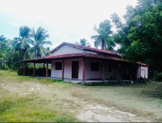 Vendo chácara - Foto 4