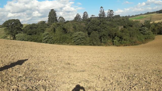Chácara Almirante Tamandaré/Marmeleiro - Foto 12