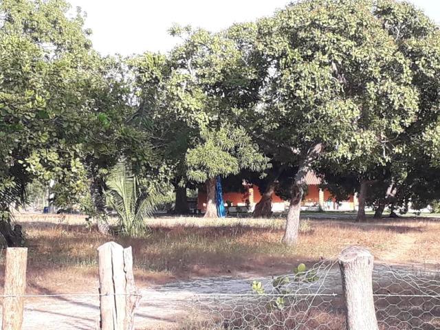 Fazenda em Boa-Hora/PI a 140 km de Teresina