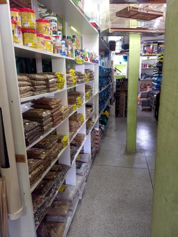 Vendo agropecuária mais de 20 anos - Foto 6