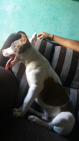 A procura-se de uma namorada - Foto 4