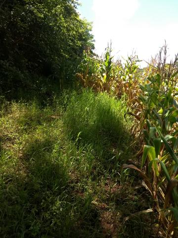 Chácara Bateias Campo Largo Curitiba - Foto 4