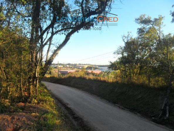 Rural comercial - Bairro Centro em Campina Grande do Sul - Foto 4