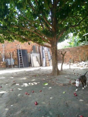 Casa na Messejana - Foto 7