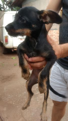 Doação - Foto 2