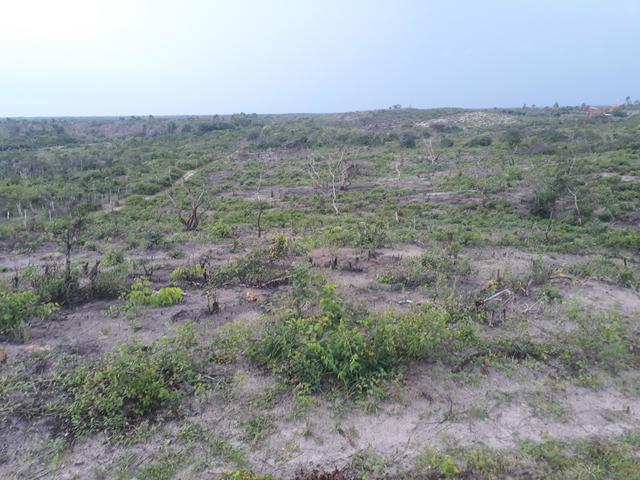 Terreno - Foto 2
