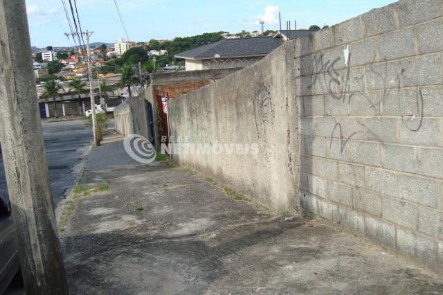 Terreno à venda em Heliópolis, Belo horizonte cod:605875 - Foto 8