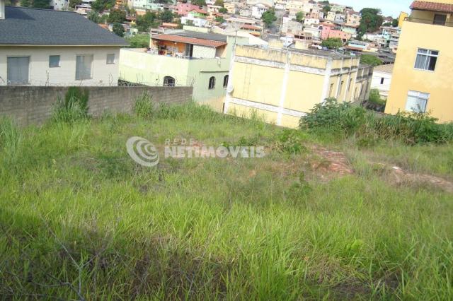 Terreno à venda em Heliópolis, Belo horizonte cod:605875 - Foto 3