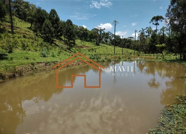 Sítio 59.800m² em Campo Alegre - Aceita Imóvel em Joinville e mais parte em dinheiro