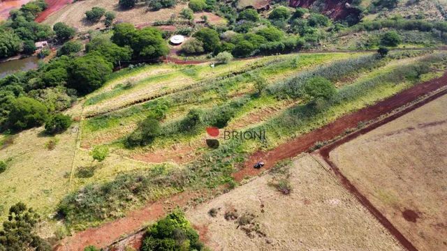 Sítio em Cravinhos/SP I Imobiliária em Ribeirão Preto I Brioni imóveis. - Foto 6