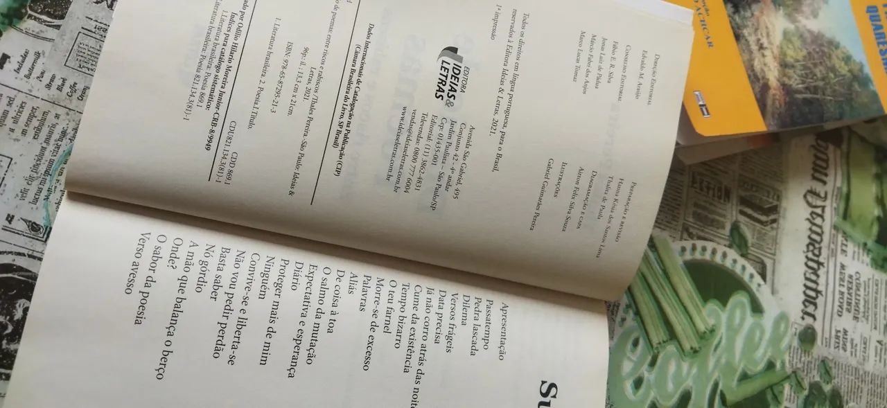 Diário de Poemas - Thales Pereira - Foto 4