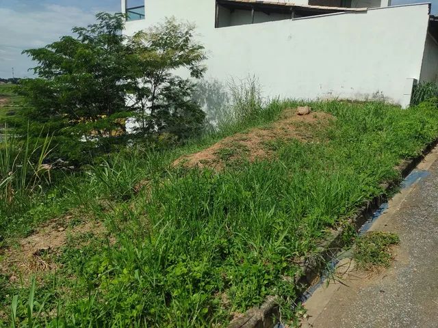 Oportunidade Vende-se Lote Iguaçu  - Foto 5