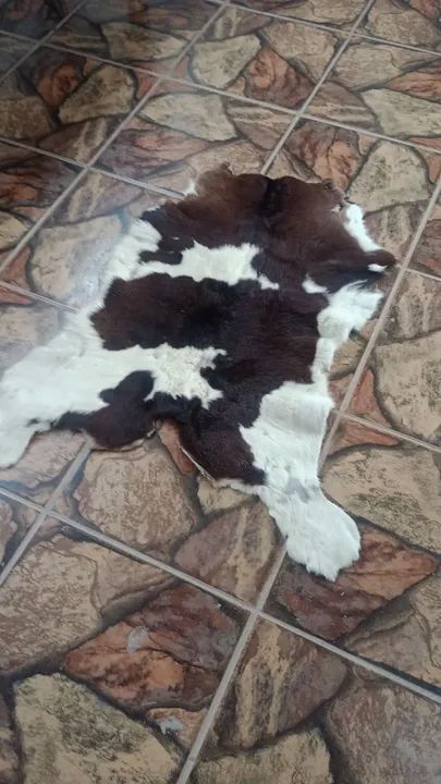Pele de cabra para decoração