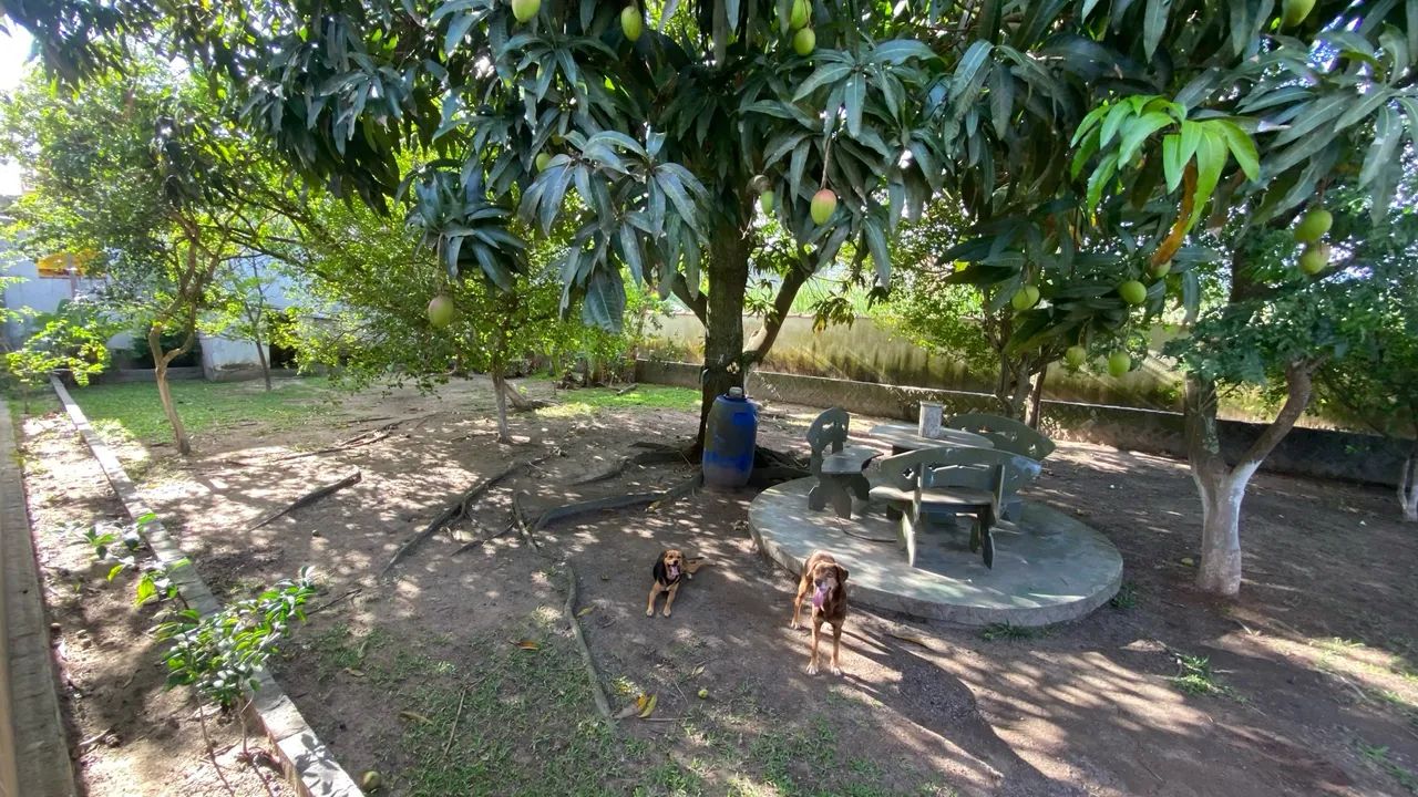 Terreno pronto para construir em Jaconé, rua 78 - Foto 4