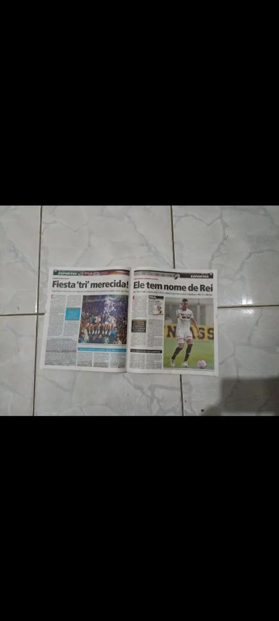 Jornal pet e doméstico outros