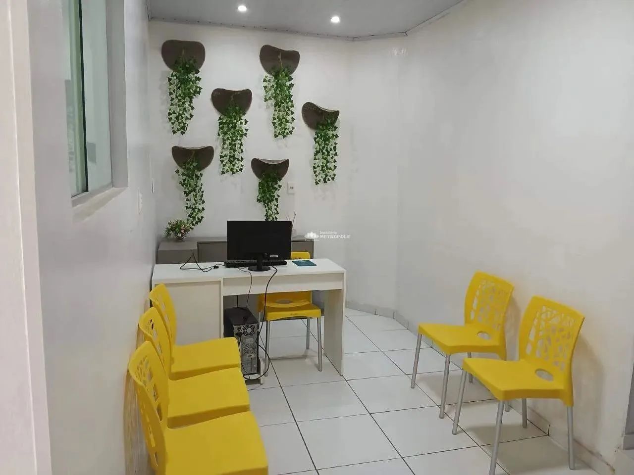 R. PRIMEIRO DE MAIO - BAIRRO: PRIMAVERA - Foto 4