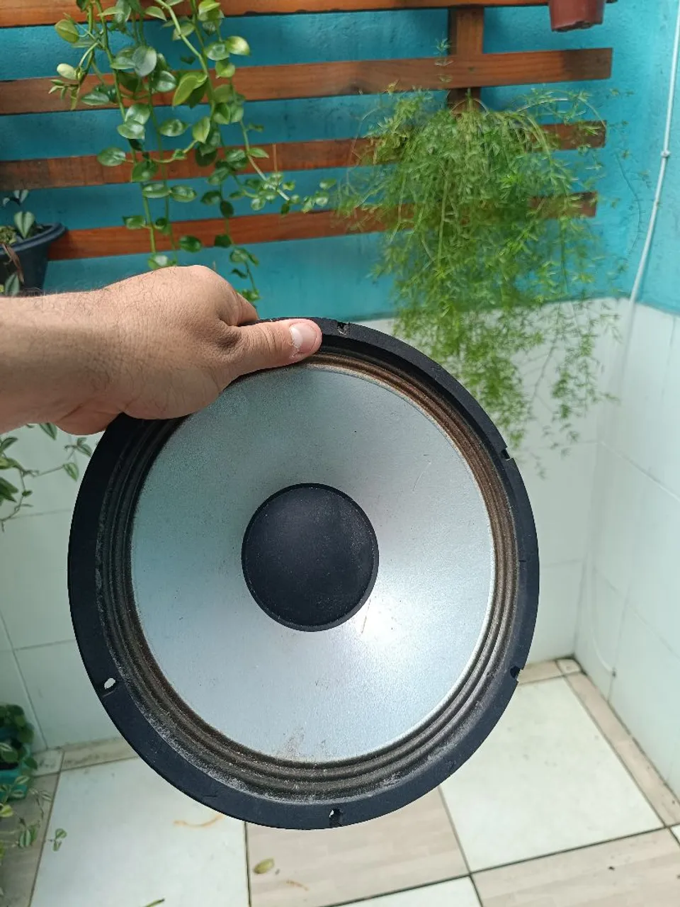 Alto falante Woofer 10 polegadas