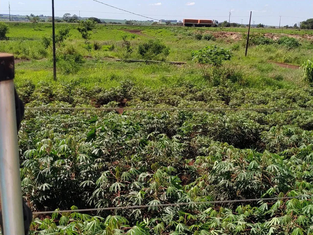 Terreno sem casa em ótima localização 1200mts - Foto 5