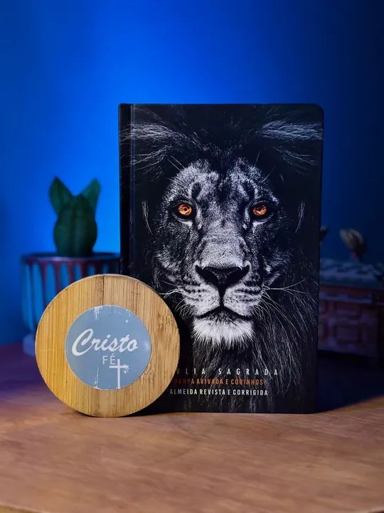 Bíblia Sagrada - letra gigante 