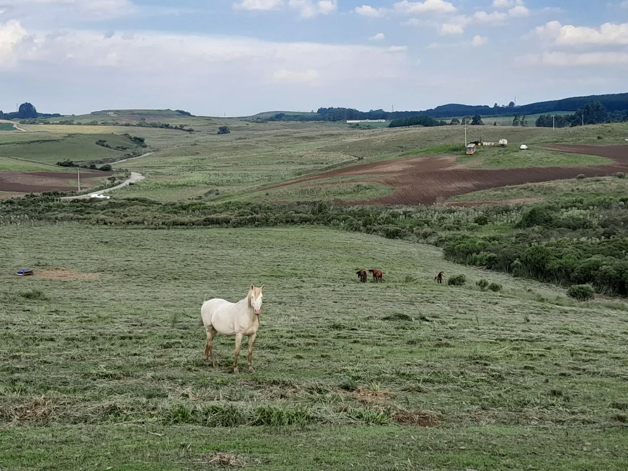Fazenda Sítio Terreno Empreedimento Rural SC