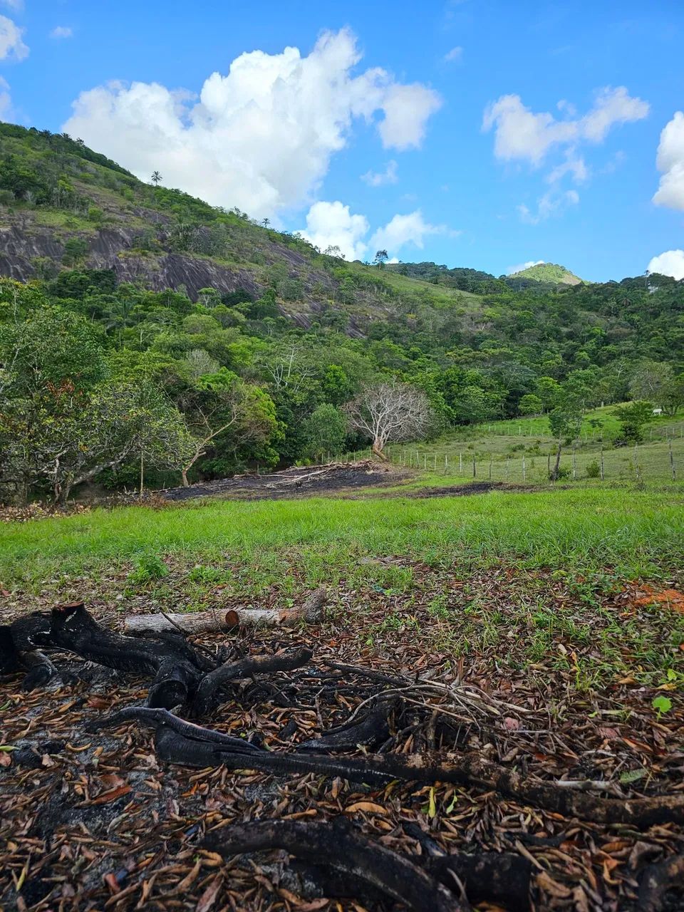Sítio 20 hectares (Joaquim Gomes) - Foto 2