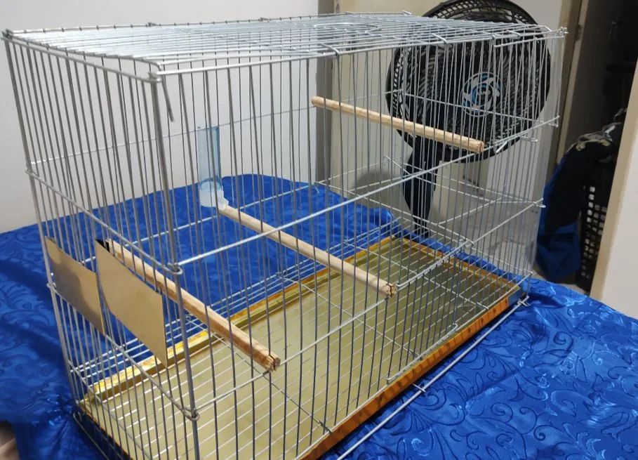 Gaiola Viveiro Calopsita GRANDE Zincada Premium - Nova - Foto 5