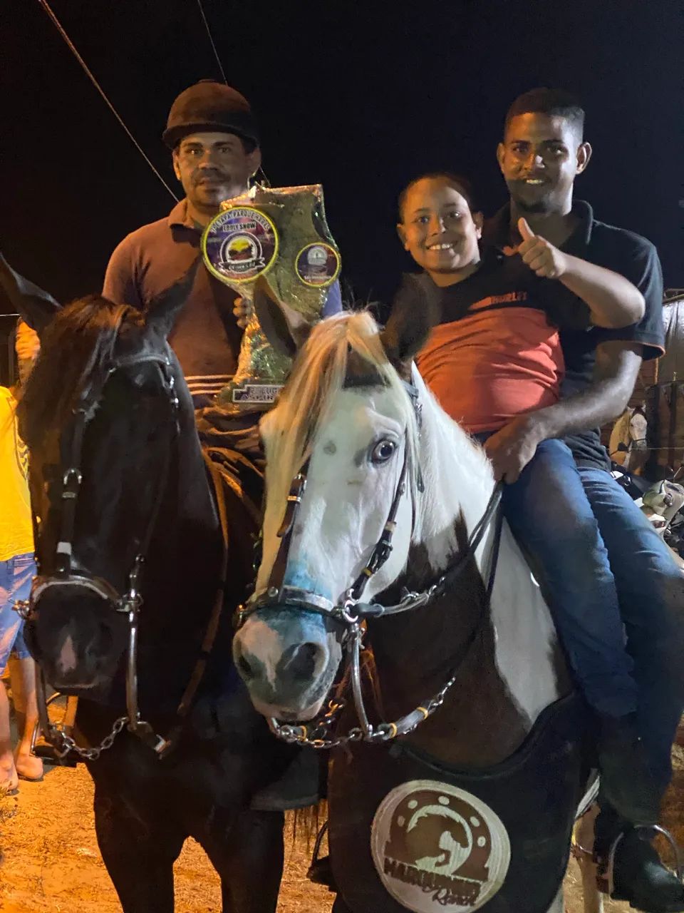 Cavalo de direita  - Foto 5